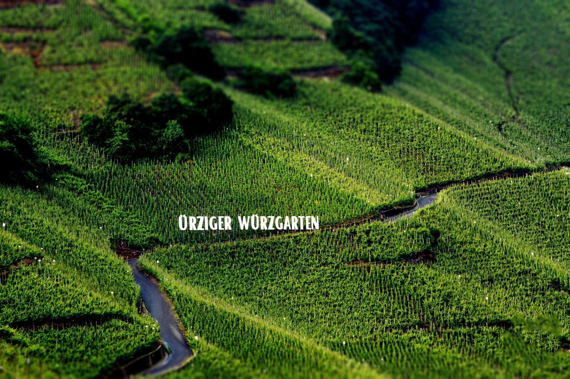 Apartment Weingut Dr Hermann I Erden Bagian luar foto